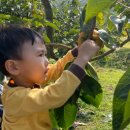 용마어린이집 이미지