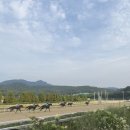 새로운 글씨체