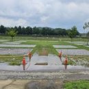 아산곡교천야영장 이미지