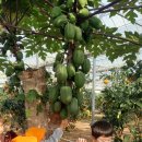 새염산어린이집 이미지