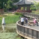 궁동생태공원 이미지