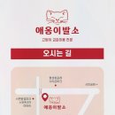 애옹이발소 이미지