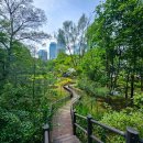 우면산 (서초약수터) 이미지