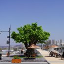 금강보행교 8 이미지