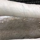 가야5차 이미지