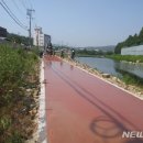 기흥호수공원(생태) 이미지