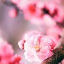 라이브나우