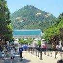 국민태권도장(수송1관) | 청와대 언제까지 개방 청와대 주차 꿀팁 아이와 함께 갈만한 곳