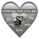 다이렉트웨딩 포인트 모으는법 꿀팁 ⎹ 블로그 서포터즈·내힘달 후기