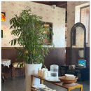 양지다방 | 경주 황리단길 양지다방 방문후기