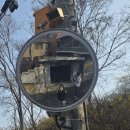 희망드림렌트카 | 2026년 3월, 길고 길었던 3월도 끝이나고