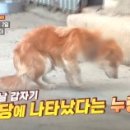 김금자 농장 네이버블로그