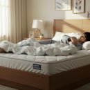 패밀리 | 패밀리 침대 매트리스 커버 추천 총정리 : 후기 포함 🛏️👨‍👩‍👧‍👦