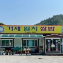 거제멸치