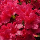 창원지방법원 거창지원 이미지