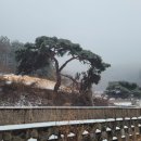 우방조경식물원 이미지