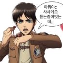 진격거 입체기동장치관 후기