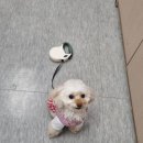 이모옷집 이미지