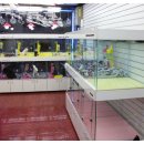 봄봄펫살롱 이미지