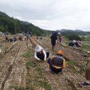 합천군청(안전총괄과) 이미지