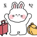 스테이수안 이미지