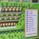 매리디자인