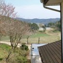 서산수당구장 이미지