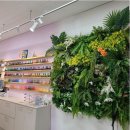 네일닷컴 이미지