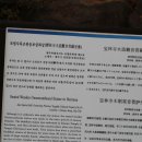 보림사 목조관음보살좌상 이미지