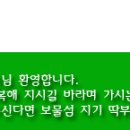 샌디김