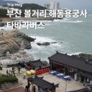 해동수산 | 부산 해동용궁사 기장 콜버스 타바라 버스 이용후기 (국립수산과학관 해안도로, 산책길)