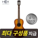 스팅 - 철원군 | 스팅