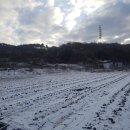 재호농장 이미지