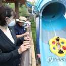 유원시설 이미지