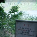 포커스빌 | 살목지 (공포 연출, 귀신 정체, 결말 해석)