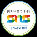 콩과샘물