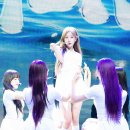 포토시그니처 TV리포트