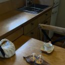 하소재 제주 이미지