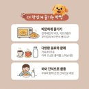 우리퍼피 | 우리딸이 반한 강아지빵!! 퍼피케익 치즈, 초코맛 후기!! 귀여움에 간단한 간식으로도 좋아요!!
