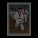 자양태권도 이미지