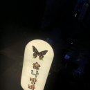 술나방바
