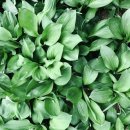 와리농장 이미지