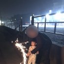 몽산포휴림