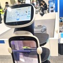 크린코리아 이미지