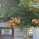 UR(경주시)-[해변공원길]-상-2 | Good goodbye 2025