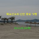 신안 증도 기행 이미지