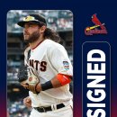 크로포드 이미지