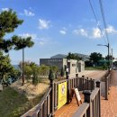 감성펜화 / 강좌번호 20 | 울산 무료 캠핑 주전 보밑항 피크닉장 평상 1번 후기, 명당자리 영상