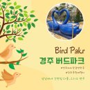 다올이네 간판집의 일상. 경주 여행지 &#39;버드파크&#39; (부산동래구간판)