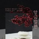 해동유통주 이미지